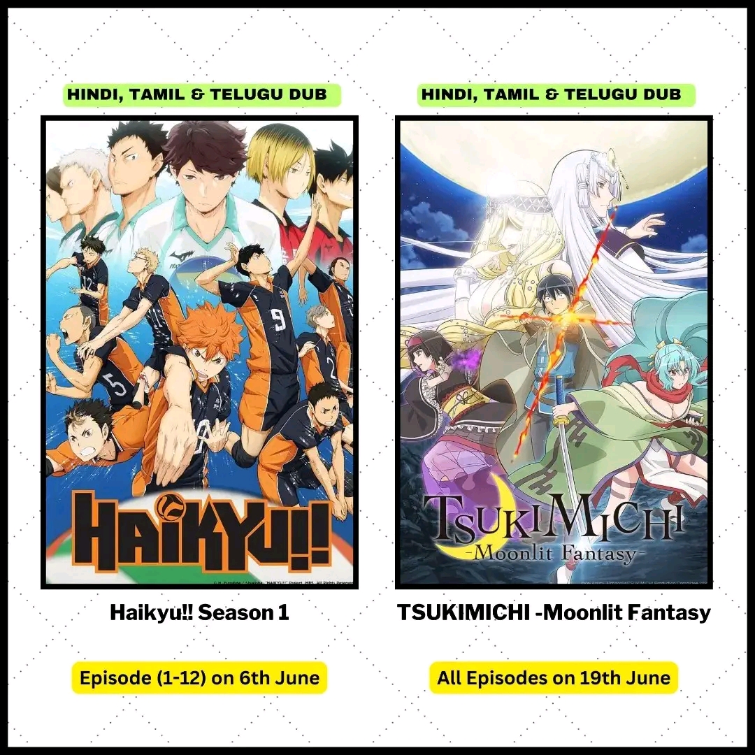 Crunchyroll brings more popular animes in Hindi, Tamil and Telugu dubs in India, including Haikyu,Dr Stone, and Blue Lock.