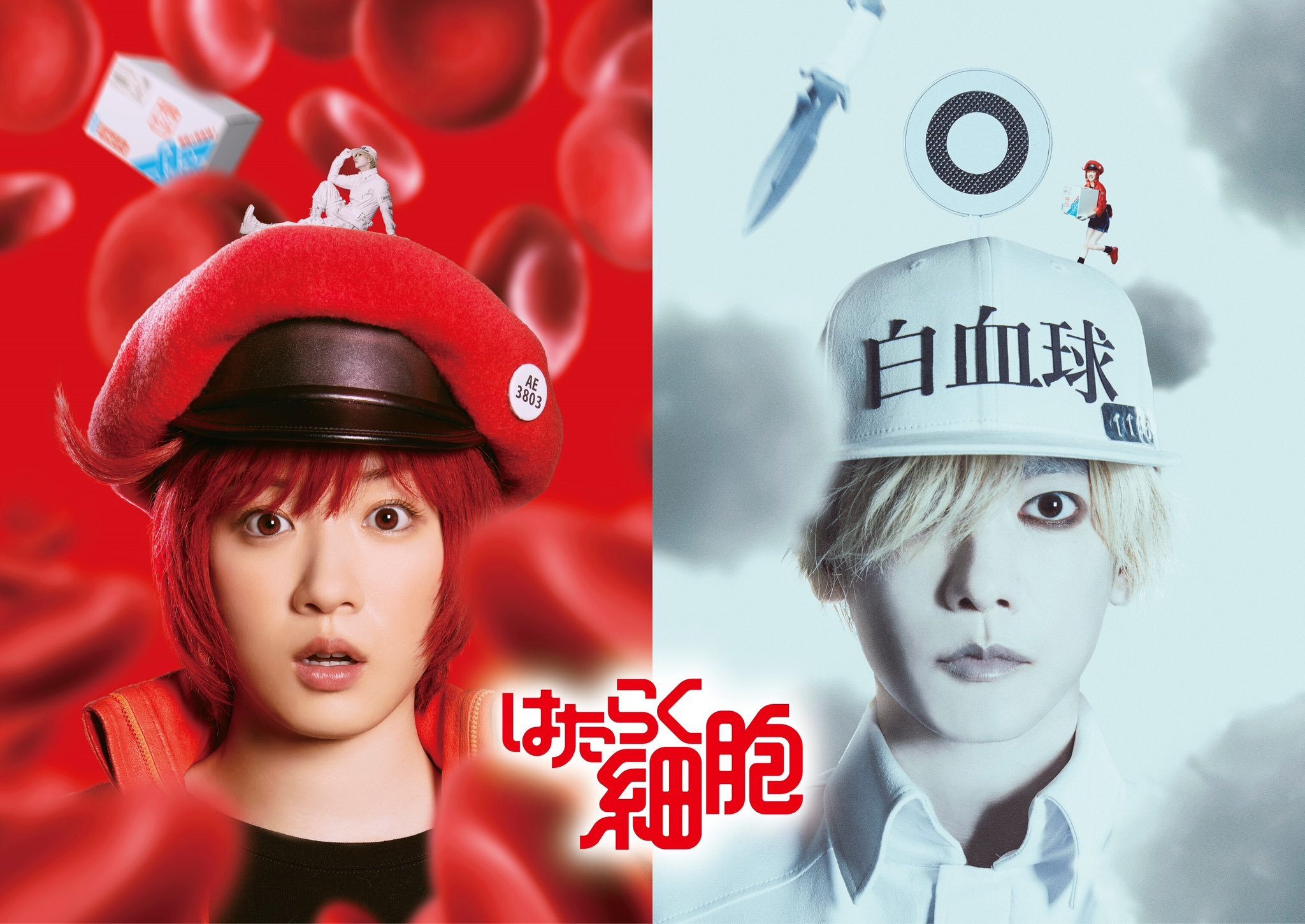 “Cells at Work” Live-Action Movie Trailer Revealed!